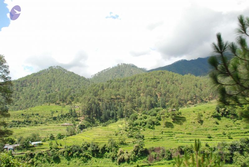 File:20080702 DSC 0455 CMP WM.jpg