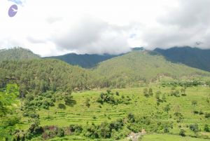 20080702 DSC 0456 CMP WM.jpg