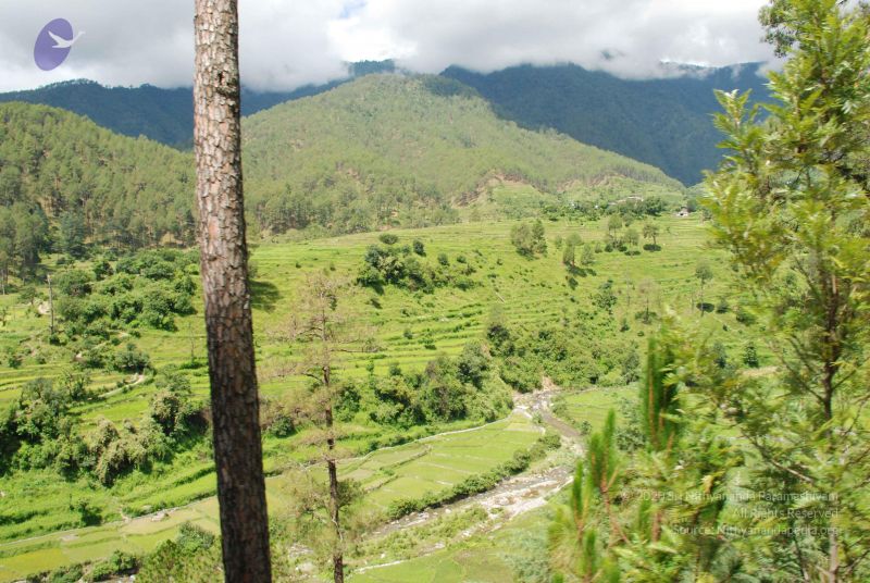 File:20080702 DSC 0460 CMP WM.jpg