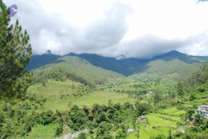 20080702 DSC 0469 CMP WM.jpg