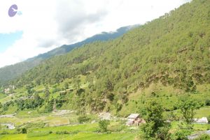 20080702 DSC 0475 CMP WM.jpg