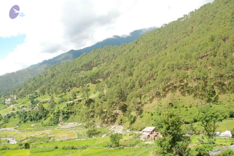 File:20080702 DSC 0475 CMP WM.jpg