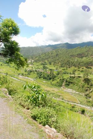 20080702 DSC 0479 CMP WM.jpg