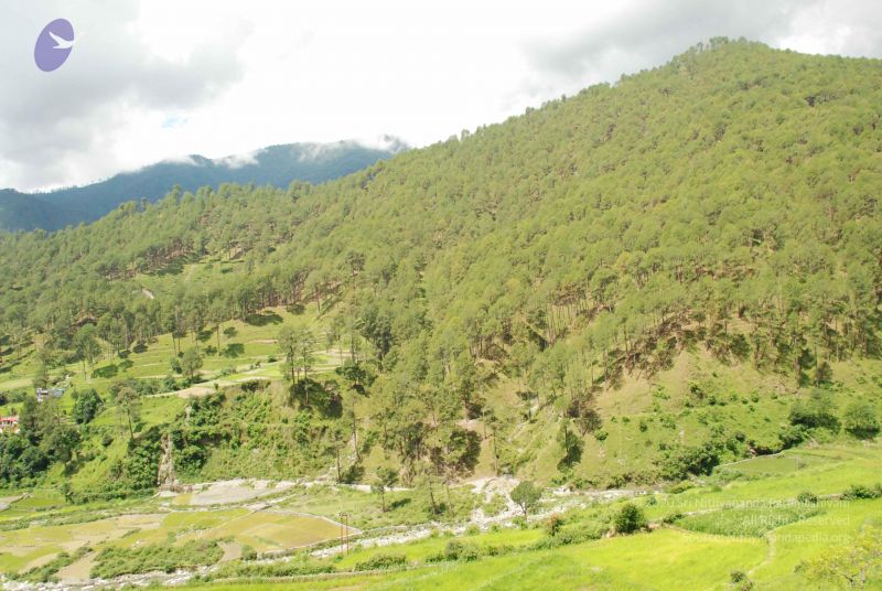 File:20080702 DSC 0484 CMP WM.jpg