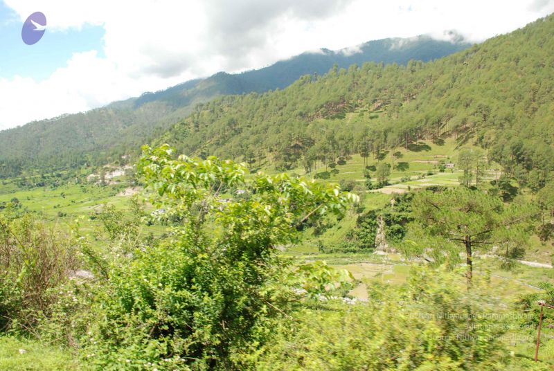 File:20080702 DSC 0488 CMP WM.jpg