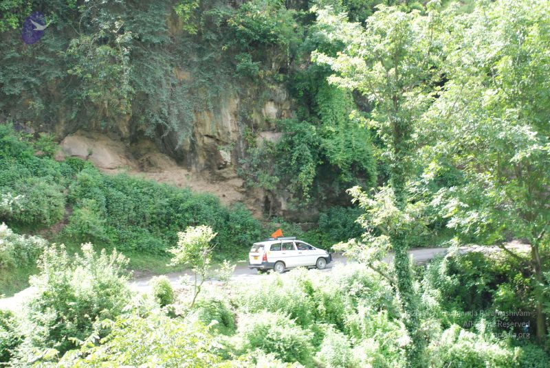 File:20080702 DSC 0493 CMP WM.jpg