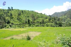 20080702 DSC 0494 CMP WM.jpg