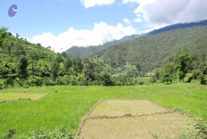 20080702 DSC 0496 CMP WM.jpg