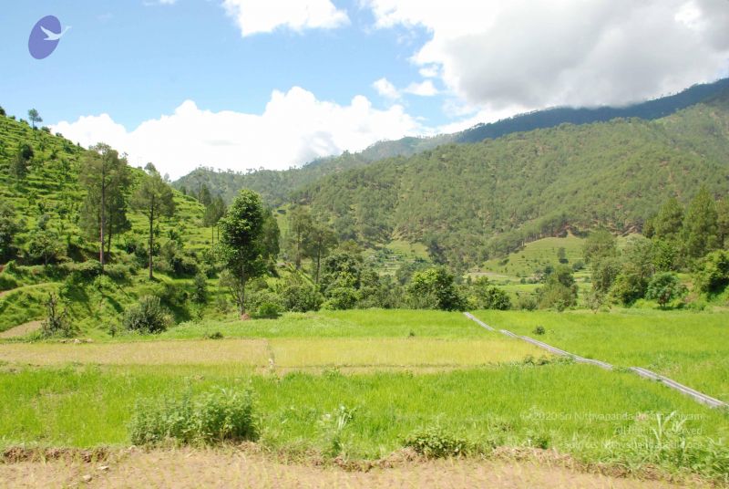 File:20080702 DSC 0498 CMP WM.jpg