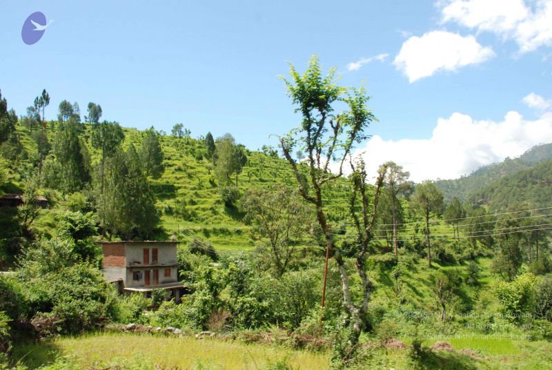 File:20080702 DSC 0500 CMP WM.jpg