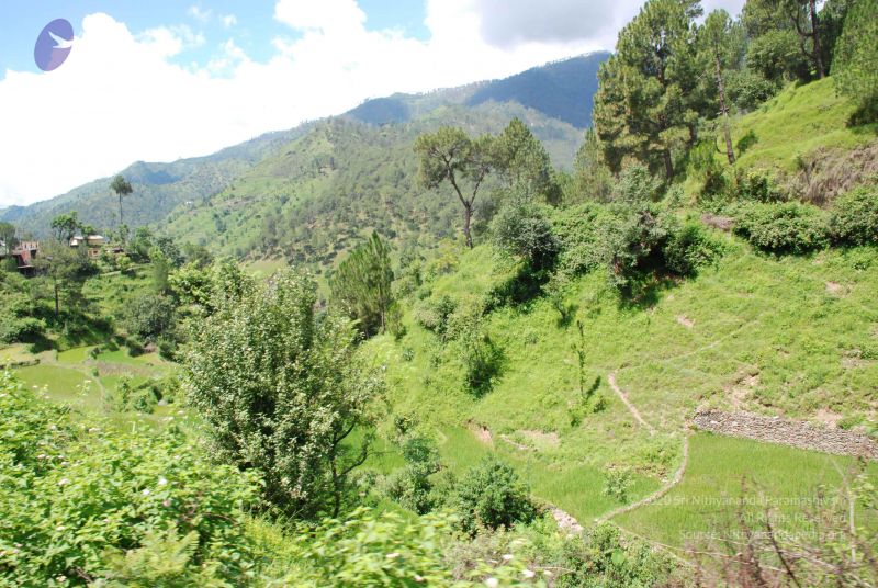 File:20080702 DSC 0502 CMP WM.jpg