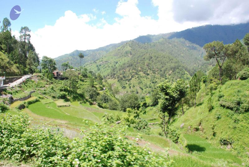 File:20080702 DSC 0504 CMP WM.jpg