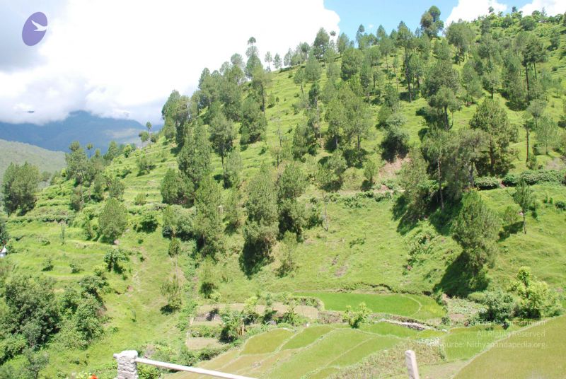 File:20080702 DSC 0509 CMP WM.jpg