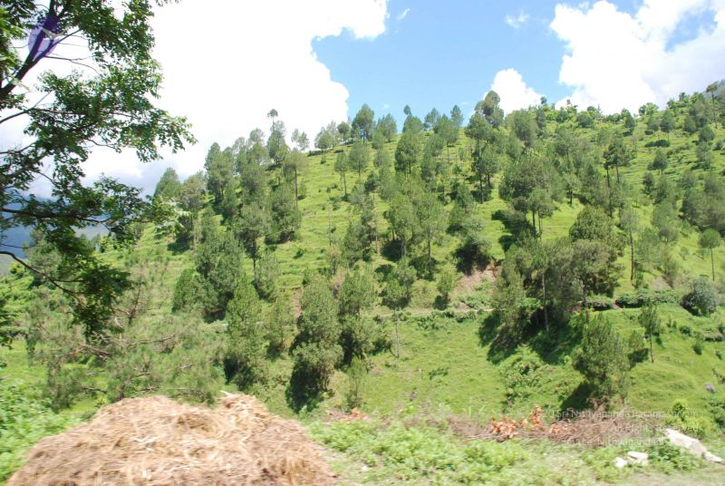 File:20080702 DSC 0511 CMP WM.jpg