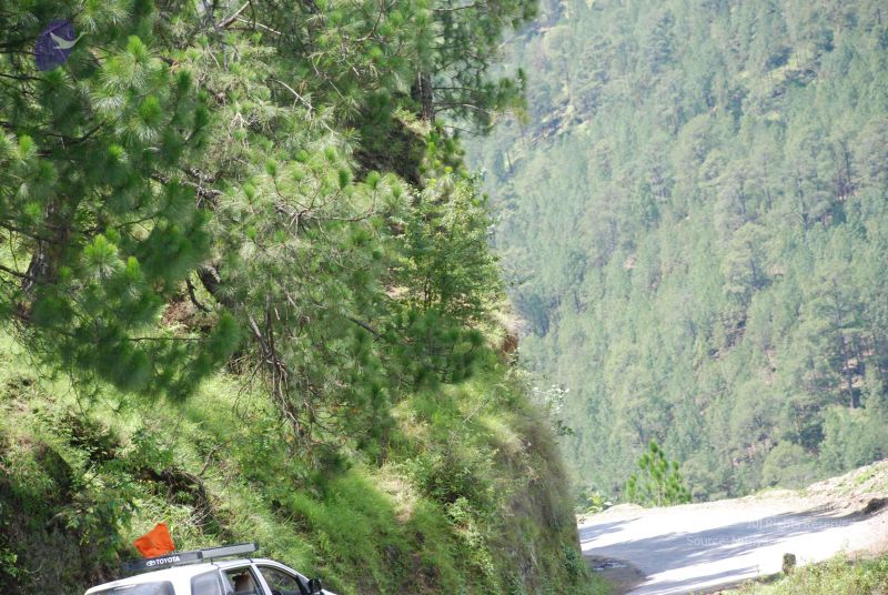 File:20080702 DSC 0516 CMP WM.jpg