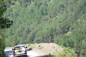 20080702 DSC 0518 CMP WM.jpg