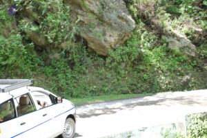 20080702 DSC 0525 CMP WM.jpg