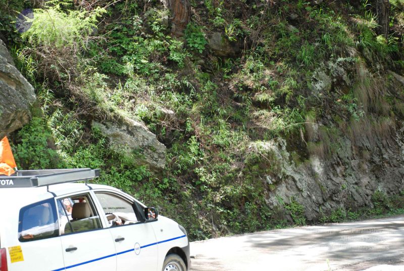 File:20080702 DSC 0526 CMP WM.jpg