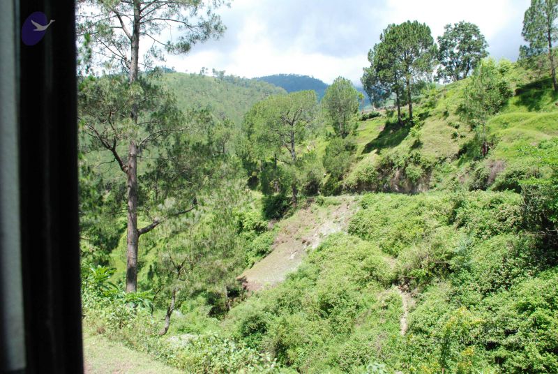 File:20080702 DSC 0531 CMP WM.jpg