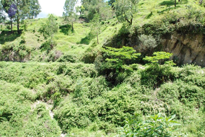 File:20080702 DSC 0533 CMP WM.jpg