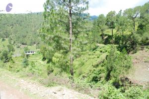 20080702 DSC 0535 CMP WM.jpg