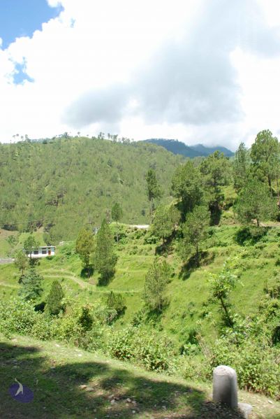 File:20080702 DSC 0536 CMP WM.jpg