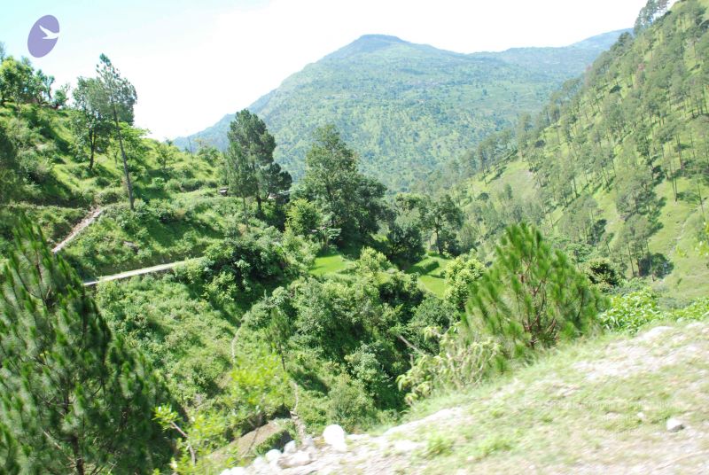 File:20080702 DSC 0541 CMP WM.jpg