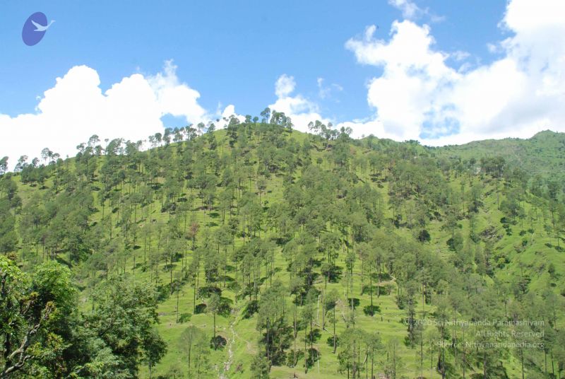 File:20080702 DSC 0544 CMP WM.jpg