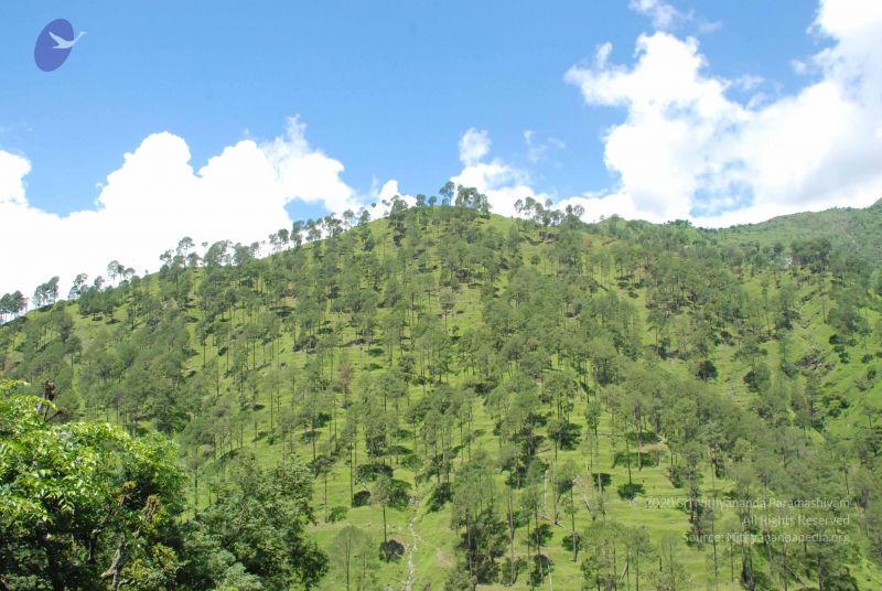 File:20080702 DSC 0545 CMP WM.jpg