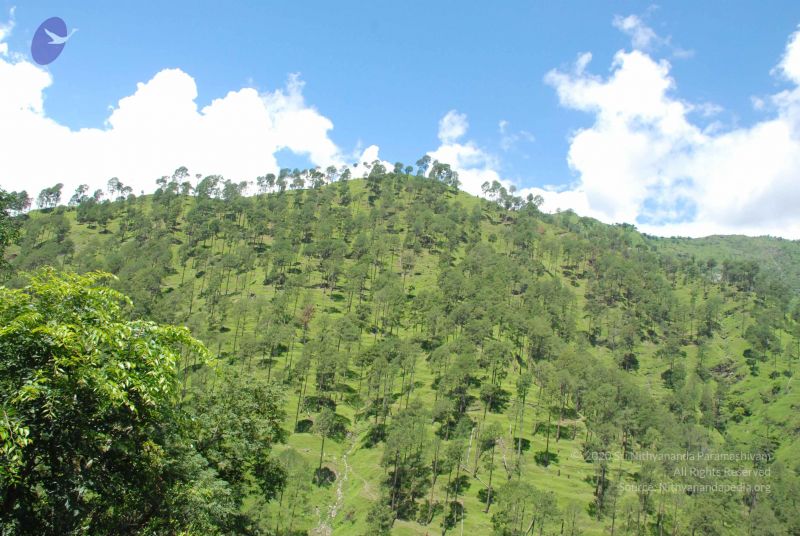 File:20080702 DSC 0546 CMP WM.jpg