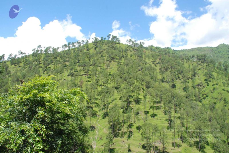 File:20080702 DSC 0547 CMP WM.jpg