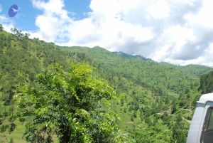 20080702 DSC 0549 CMP WM.jpg