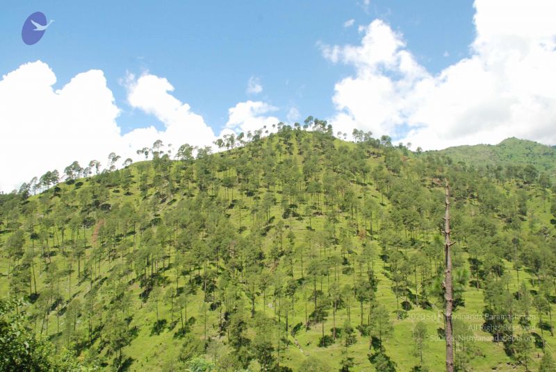 File:20080702 DSC 0551 CMP WM.jpg