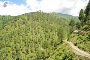 20080702 DSC 0555 CMP WM.jpg