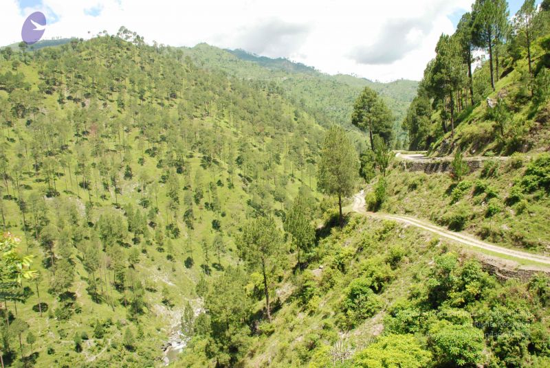 File:20080702 DSC 0557 CMP WM.jpg