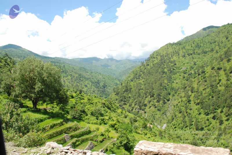 File:20080702 DSC 0559 CMP WM.jpg