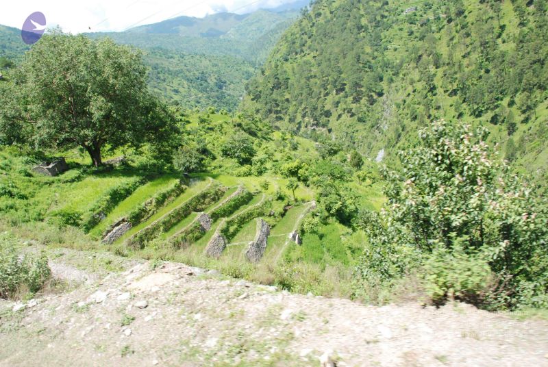 File:20080702 DSC 0560 CMP WM.jpg