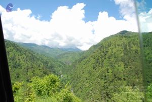 20080702 DSC 0565 CMP WM.jpg