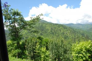 20080702 DSC 0569 CMP WM.jpg