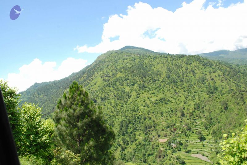 File:20080702 DSC 0570 CMP WM.jpg