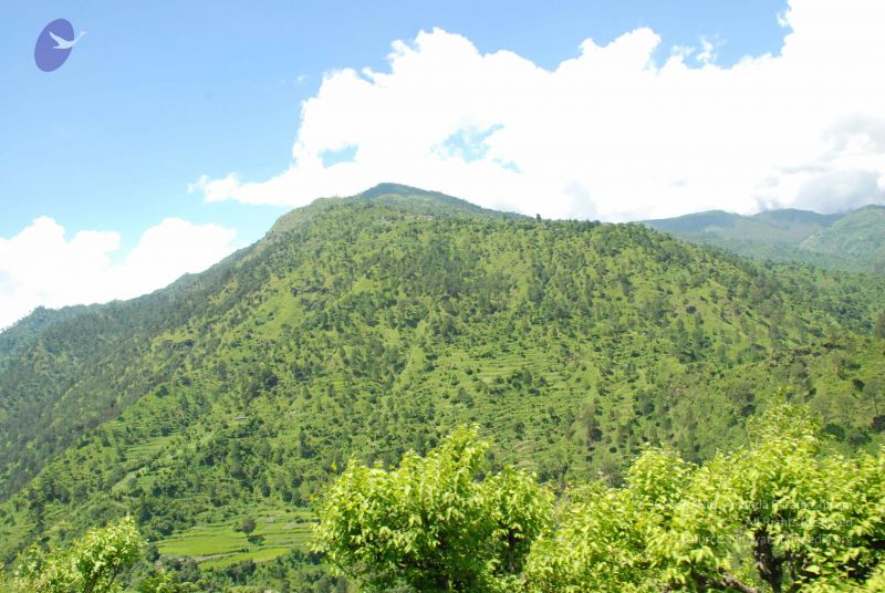 File:20080702 DSC 0571 CMP WM.jpg