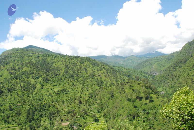 File:20080702 DSC 0572 CMP WM.jpg