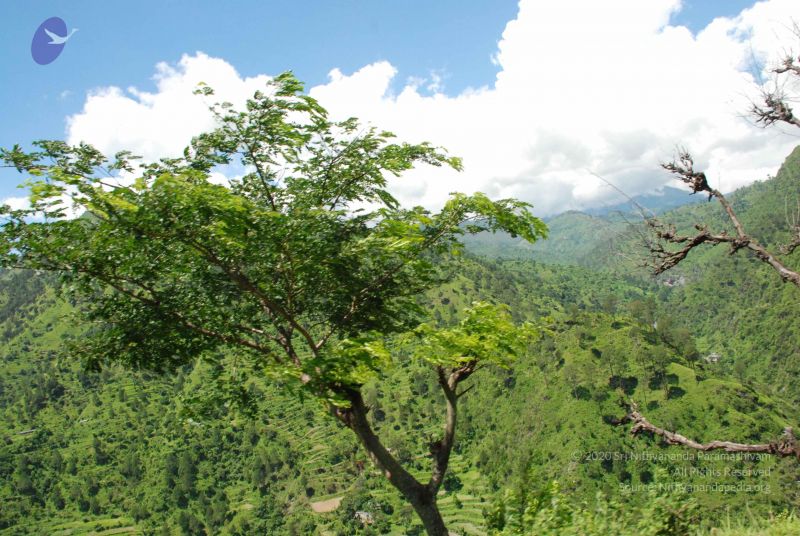 File:20080702 DSC 0573 CMP WM.jpg