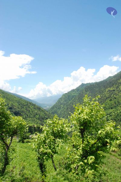 File:20080702 DSC 0574 CMP WM.jpg