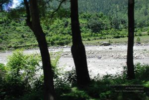 20080702 DSC 0589 CMP WM.jpg