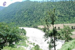 20080702 DSC 0593 CMP WM.jpg