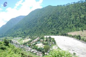 20080702 DSC 0597 CMP WM.jpg