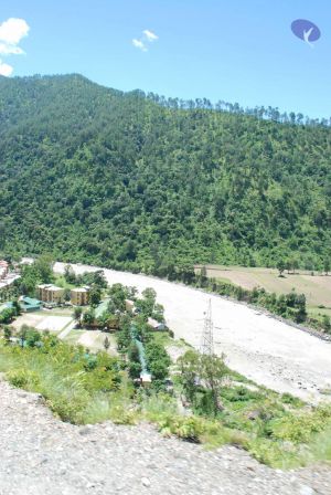 20080702 DSC 0603 CMP WM.jpg