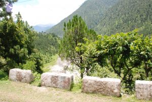 20080702 DSC 0608 CMP WM.jpg