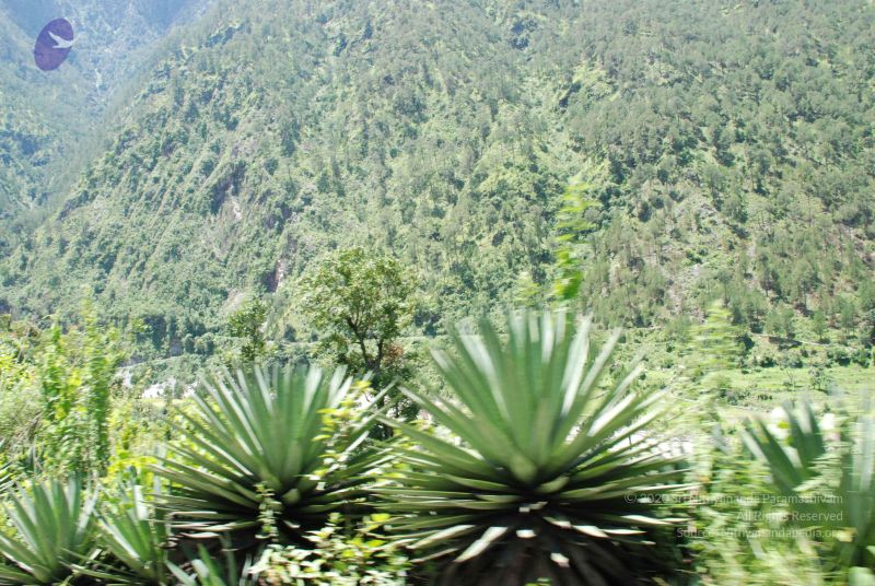 File:20080702 DSC 0625 CMP WM.jpg